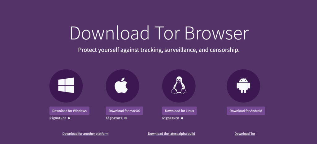 How Can I Download & Install Tor Browser In 2024?